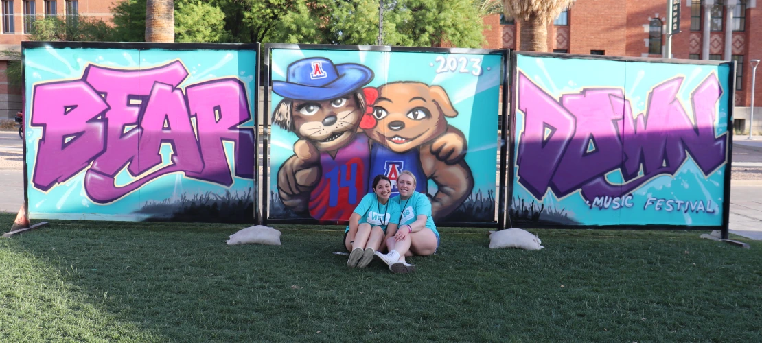 Graffiti Wall BDMF23