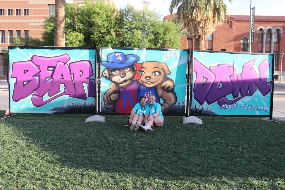 Graffiti Wall BDMF23